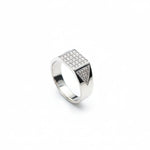 Load image into Gallery viewer, Bold Elegance Stone-Studded Silver Men’s Ring
